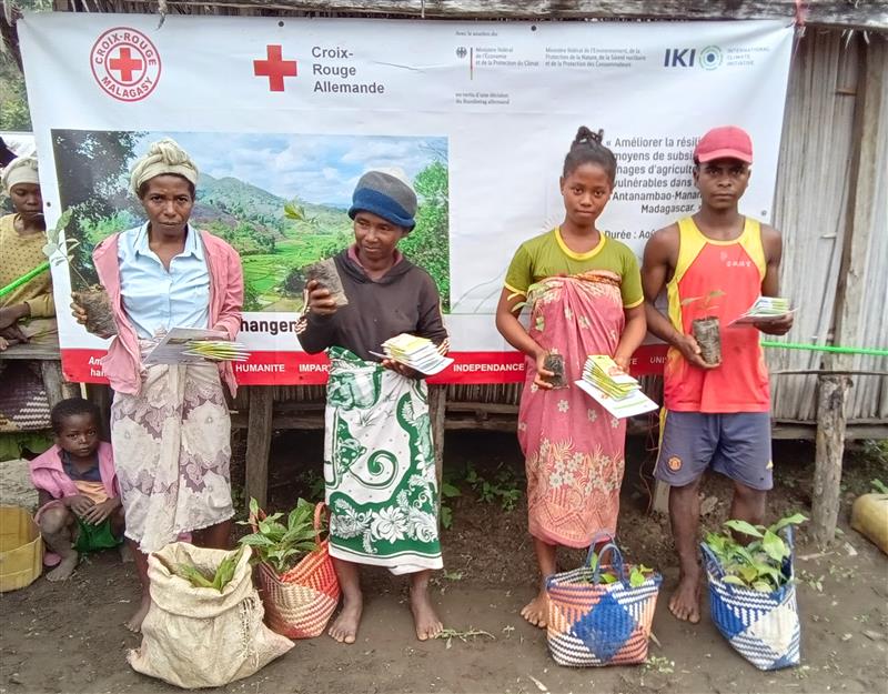 Distribution de 5700 plants de café et cannelle à 470 familles à Antanambao-Manampotsy
