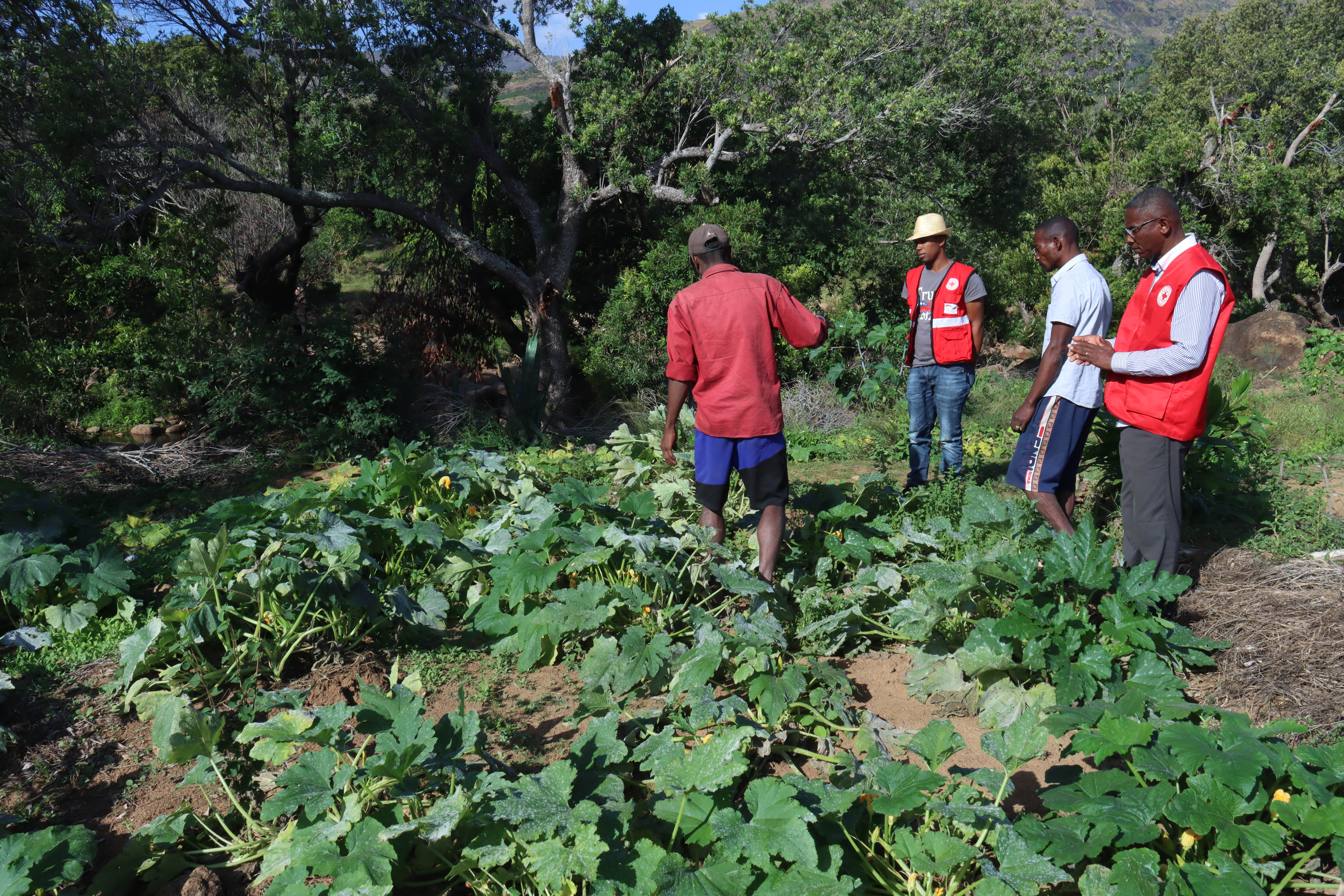 Croix-Rouge Malagasy