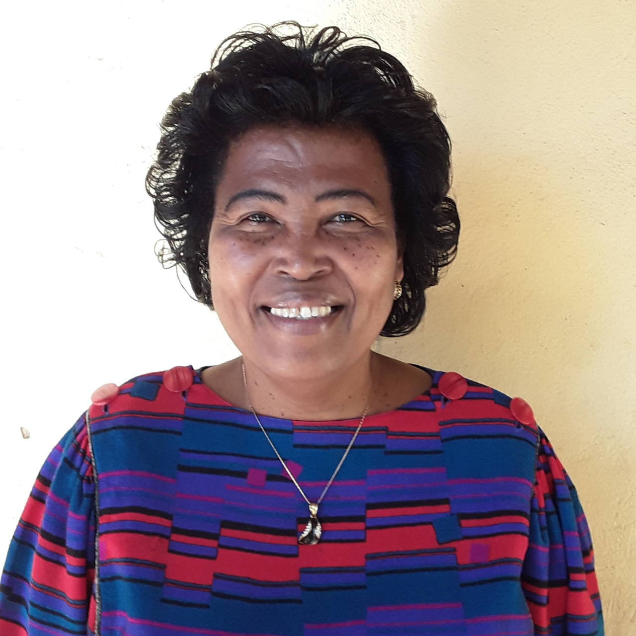 RATOVOMANANTSOA Rasoandrasana Présidente de la Commission Santé