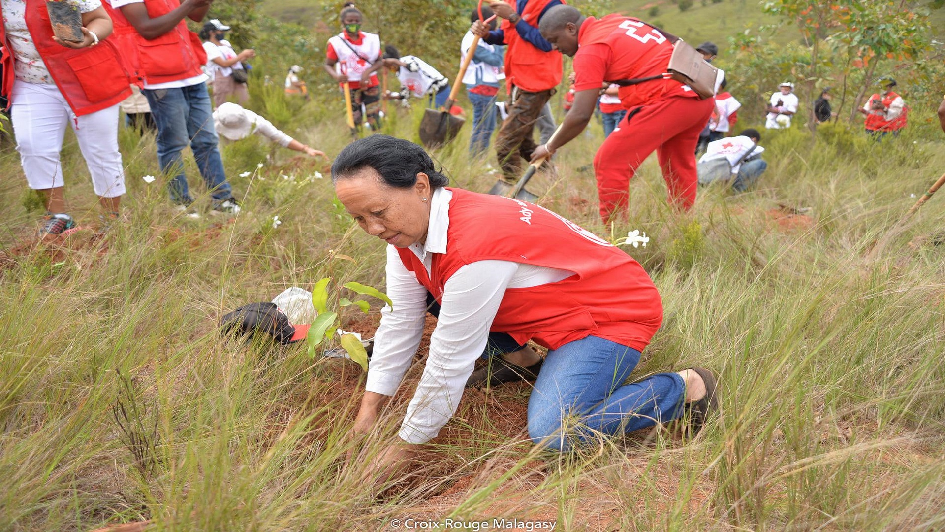 Croix-Rouge Malagasy face aux Changements climatiques